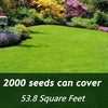 MiniVerde™ Lush Greenery Growth