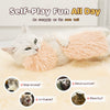 TailChase™ Reduces Feline Boredom
