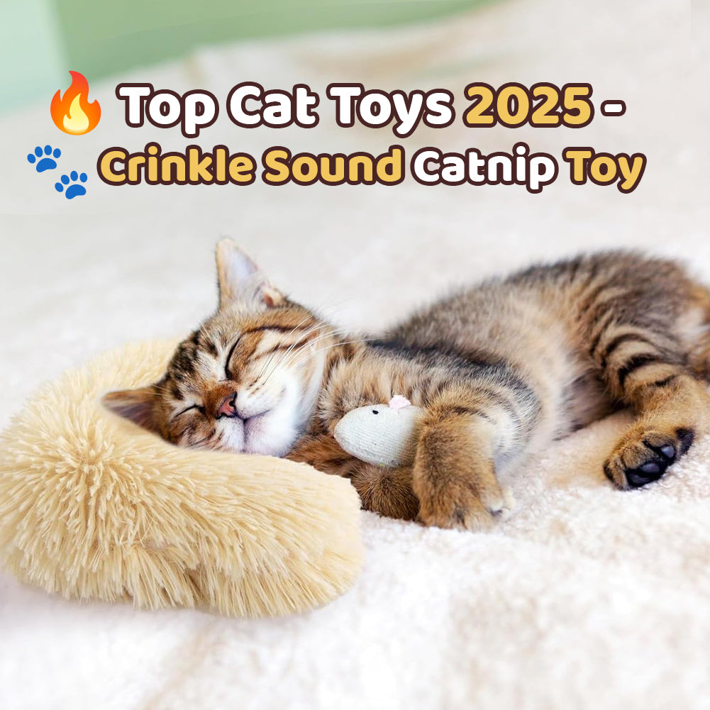 TailChase™ Reduces Feline Boredom