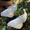 TranquilKoi™ Transforms Garden Atmosphere