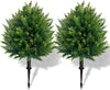 CedarGreen™ Instant Landscape Upgrade