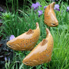 TranquilKoi™ Transforms Garden Atmosphere