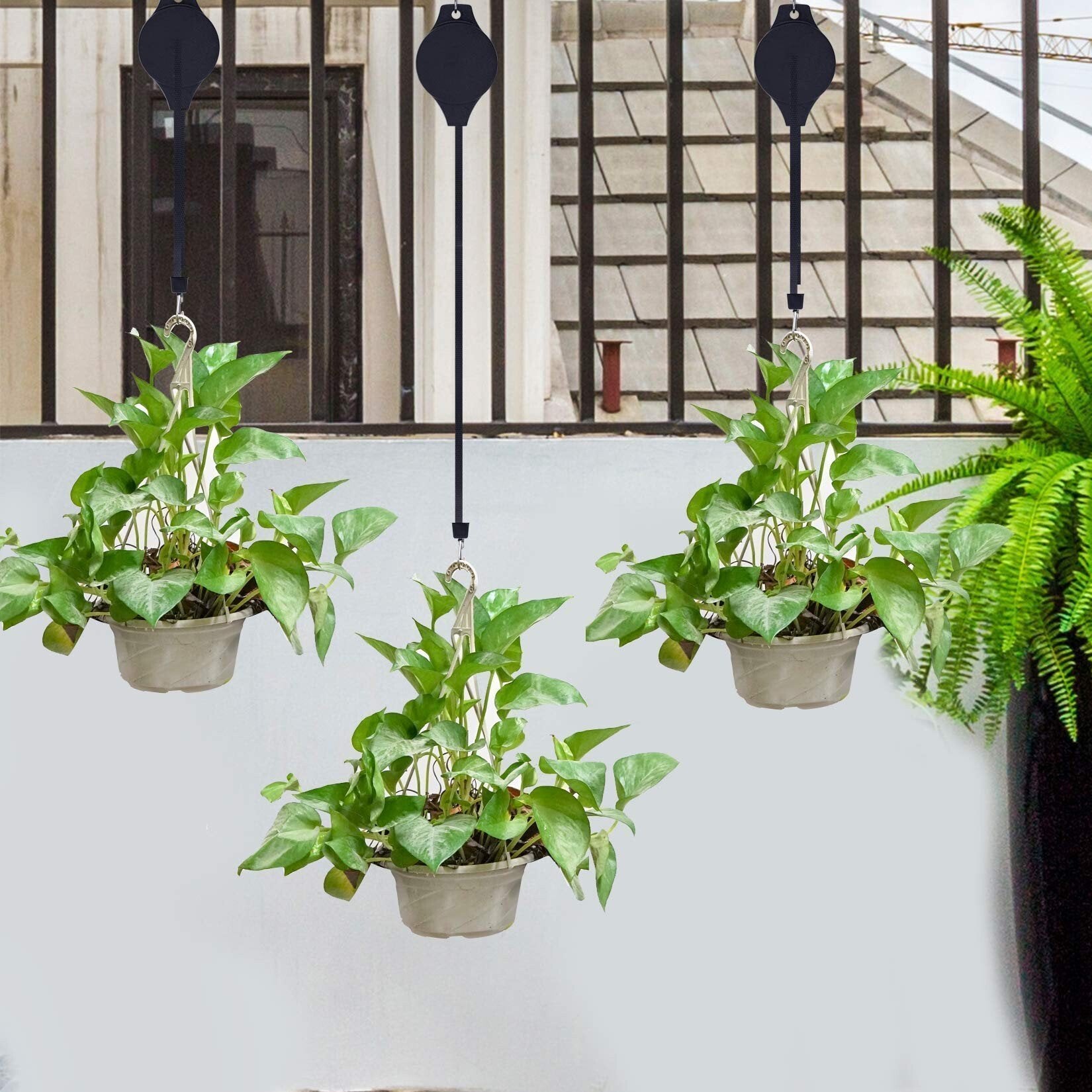 LeafLift™ Hang Plants Safely