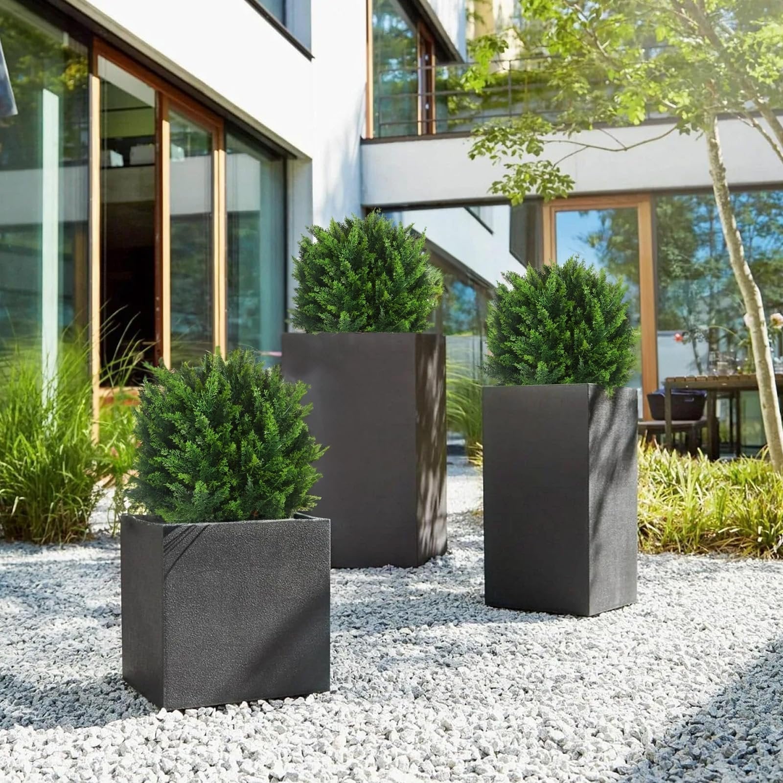 CedarGreen™ Instant Landscape Upgrade