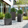 CedarGreen™ Instant Landscape Upgrade