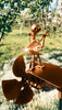 SteelMelody™ Decor That Rocks