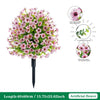 CedarGreen™ Instant Landscape Upgrade