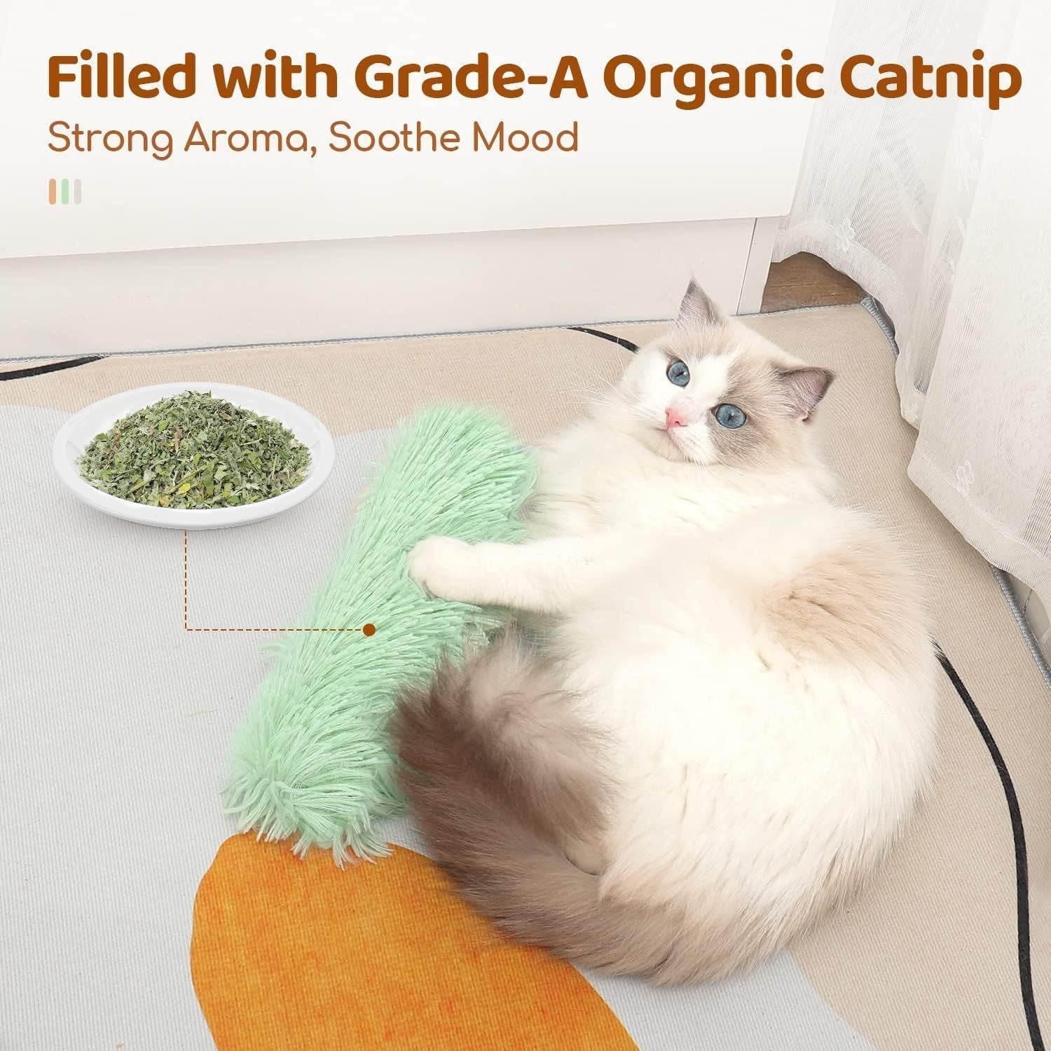 TailChase™ Reduces Feline Boredom