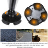 LumiWalk™ Guided Night Walks