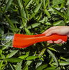 BugWand™ Effortless Insect Control