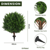 CedarGreen™ Instant Landscape Upgrade