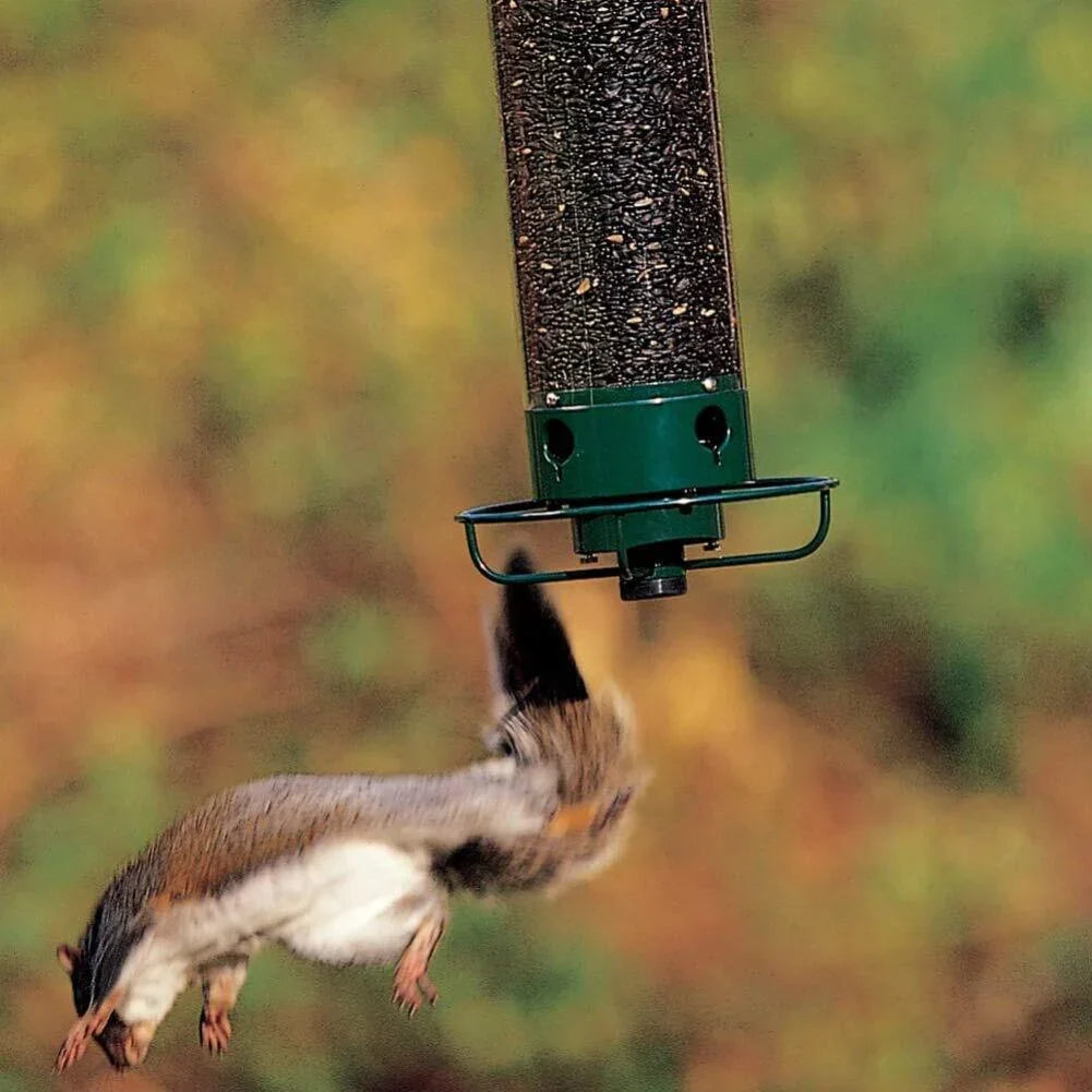 FeatherFeast™ Nurture Winged Friends