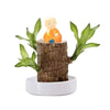(Only Today 50% Off) Lucky Brazilian Wood Plant