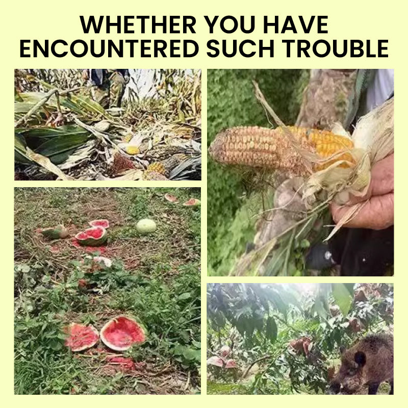 SolarDefender™ Secure Outdoor Living