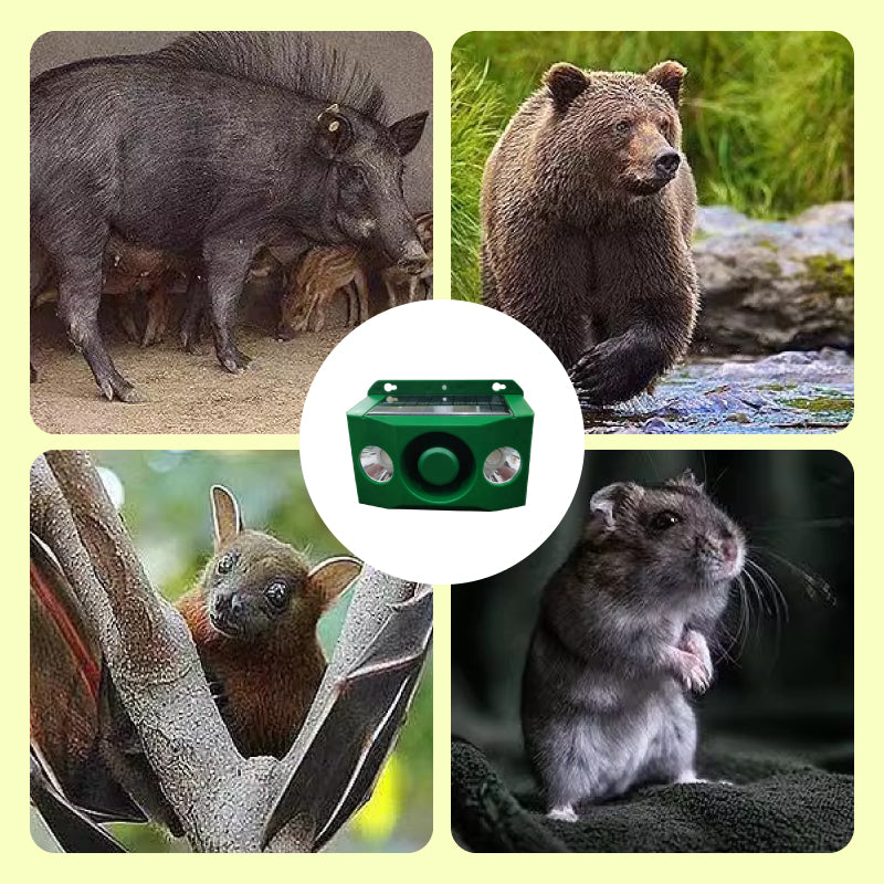 SolarDefender™ Secure Outdoor Living