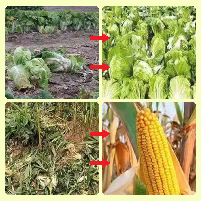 SolarDefender™ Secure Outdoor Living