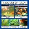 2+1 Free | AquaPure™ Safe Aquatic Environment